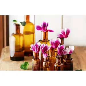 Aceite Esencial Puro de Ciclamina de Grado Terapéutico, Líquido Herbal Hidratante, Aclarante y Nutritivo Derivado de Semillas - Product Image 1