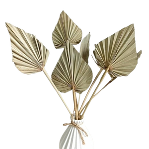 Hojas de Palma Lanza Hojas de Palma naturales Palma Lanza Día DE LA MADRE Día de San Valentín Navidad Gracias Regalos por cada vez - Product Image 1