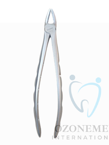 Pinzas de extracción dental eléctricas de alta calidad con mango patrón inglés para agujeros de premolares inferiores instrumento quirúrgico - Product Image 2