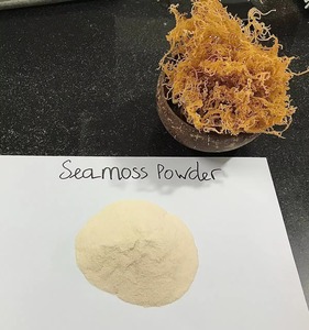 POLVO DE SEAMOSS/POLVO DE SEAMOSS IRLANDÉS/POLVO DE CARRAGEEN LISTO PARA EXPORTAR A GRANEL - Product Image 1