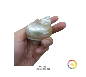 Ronds de serviette en coquillage blanc naturel faits à la main pour décor de table côtier de mariage et de fête du Vietnam - Product Image 5