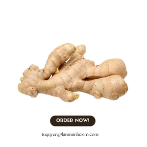 ขิงแช่แข็งคุณภาพส่งออกจากเวียดนามเป็นทางเลือกของตลาดต่างประเทศสำหรับผักแช่แข็ง - Product Image 3
