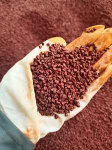 "Golden Flame Annatto Seeds Nature Vibrant Cadeau des Hautes Terres du Vietnam" - Product Image 2