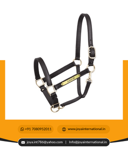 Best Buy Cheval en cuir équin licou Yearling cuir participation licou personnalisé cuir cheval licous plié - Product Image 5