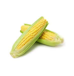 Yellow Corn Fresh Corp's Premium Non-GMO Best-Selling, precios al por mayor para exportación global - Product Image 5