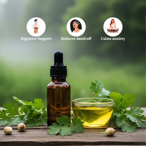 Huile essentielle de graines de coriandre à prix de gros, sans produits chimiques, arbre à thé, revitalisant pour la peau anti-âge, hydratant - Product Image 4