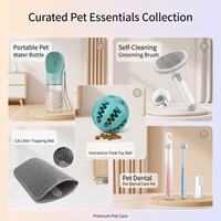 Coffret Cadeau de Vacances pour Animaux 5-en-1 : Bouteille d'Eau Portable en Plastique, Brosse de Toilettage pour Chien, Jouet Distributeur de Friandises, Balle, Tapis de Litière pour Chat, Soins Dentaires