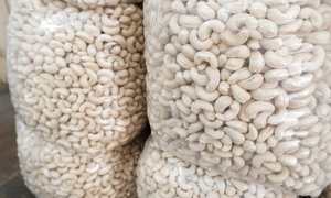 เม็ดมะม่วงหิมพานต์ดิบขายดีที่สุด W320 & W450 |   คุณภาพสูงสุดสำหรับการส่งออกระดับโลก |   ผู้จัดจำหน่ายที่เชื่อถือได้ - Product Image 4