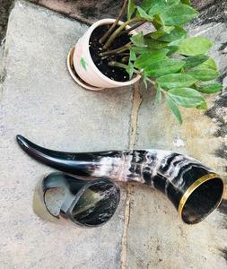 Handmade Creative Design Bar Drinking Buffalo Horn Beer Tankard <b>Mug</b> with <b>Stand</b> For Party Natural Ox Horn Material Horn Shape - Product Image 4