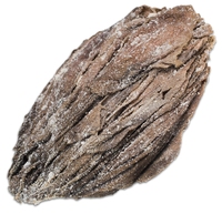 Viande de buffle désossée congelée fraîche/Omasum de boeuf congelé/viande de vache d'exportation viande de boeuf boeuf congelée corps de viande de buffle pour wh