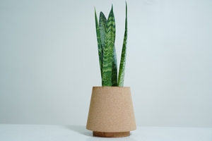 Maceta de corcho de grano fino abstracto de grado de lujo, macetas de mesa para decoración de Catering para el hogar para uso residencial - Product Image 3