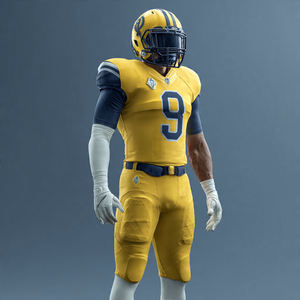 Uniforme de Fútbol Americano Estampado Deportivo, Nombre del Equipo, Uniforme de Fútbol Sublimado, Número del Equipo, Pantalones de Jersey Americano - Product Image 2