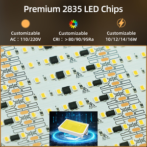 Tira de <span class=keywords><strong>LED</strong></span> 2835 para Exteriores OEM, Impermeable IP67, 220V/110V, 120 <span class=keywords><strong>LED</strong></span>/M, Alto Brillo, Sin Parpadeo, Regulable, Continua, 50m de Longitud - Product Image 3