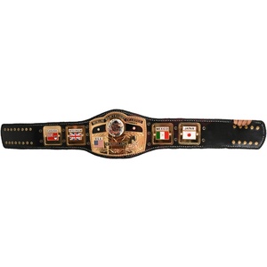 เข็มขัดแชมป์ NWA Authentic Wear รุ่น Commemorative ประดับด้วยหินหลากสี เข็มขัดมวยปล้ำคุณภาพสูง เข็มขัดแชมป์สุดหรู - Product Image 1