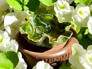 Bol alimentaire en résine époxy de haute qualité avec surface durable et brillante, élégant bol alimentaire en résine époxy pour servir des salades et des collations - Product Image 4