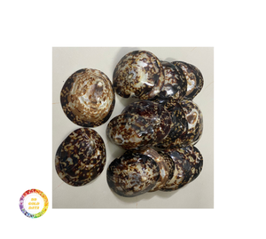 งานฝีมือเปลือกหอยที่เป็นมิตรกับสิ่งแวดล้อมทำจากธรรมชาติเครื่องประดับตกแต่งอย่างบริสุทธ์สำหรับงานปาร์ตี้จำนวนมากจากเวียดนาม - Product Image 3