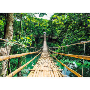 Modern Jungle Bridge <b>Poster</b> Made of Durable Paper for Wall Decor - Product Image 1