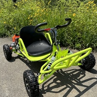 En stock, buggy de sport d'hiver, buggy de ferme, voitures pas chères pour adultes