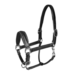 Cabestro de Cuero Negro Personalizable para Caballo, Acolchado Duradero de Alta Calidad, Protección Ajustable, Herrajes de Acero Inoxidable - Talla Cob-Tamaño Completo - Comodidad - Product Image 1
