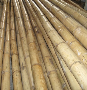 Poteaux de bambou écologiques vietnamiens-Matériaux de construction Poteau de bambou droit solide et naturel de haute qualité - Product Image 3