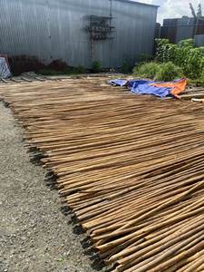 Poteaux de rotin naturel avec peau et nœuds visibles Poteau de rotin canne de rotin canne tropicale du Vietnam - CARYLN - Product Image 4