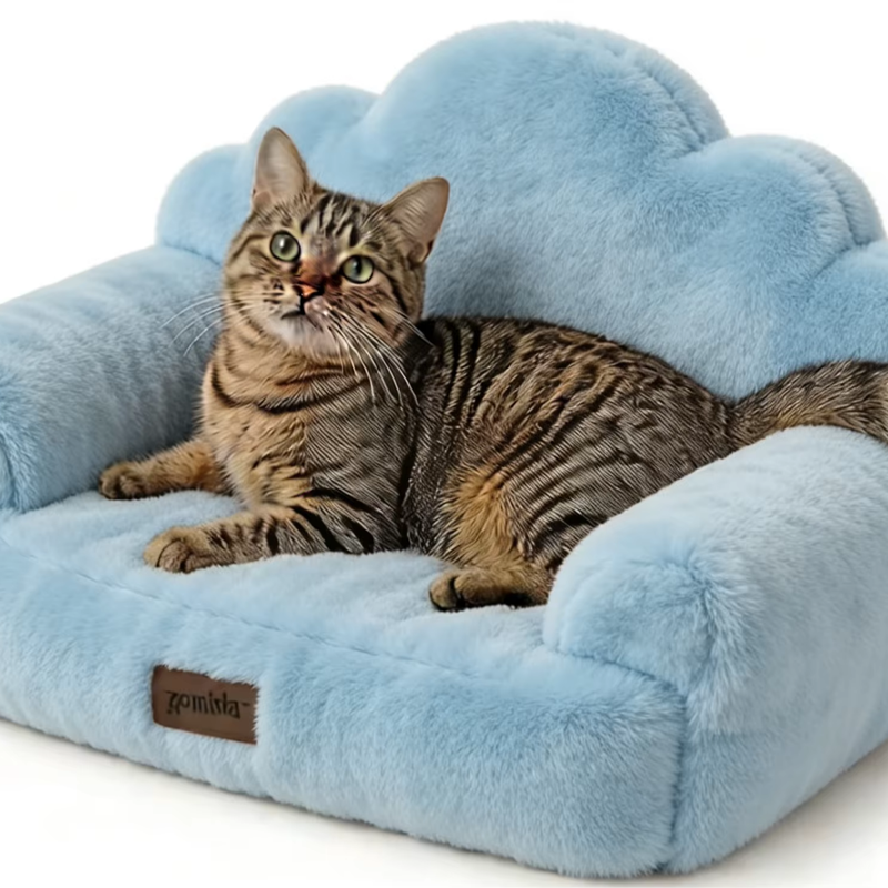 Modern Deep Seat Sofa in a
