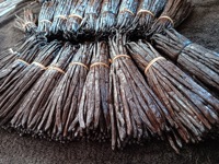 Gousse de vanille naturelle séchée de Madagascar, 100% naturelle, 18 cm, Planifolia, gousse entière, préparation traditionnelle, vente en gros, exportation VANILLE