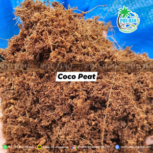 Producto más vendido, bloque de turba de coco de 5kg de Vietnam, ampliamente utilizado para el cultivo de setas y viveros - Product Image 2