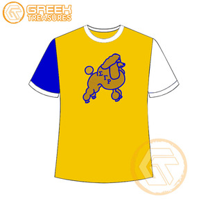 Vente en gros de t-shirt Sigma Gamma Rho pour femmes vêtements de sororité jersey de coton t-shirt respirant de haute qualité vêtements grecs pour femmes - Product Image 2