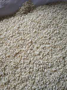 เมล็ดงาขาวคั่วคุณภาพเยี่ยม ปี 2025 ราคาขายส่ง - Product Image 4