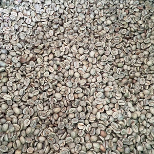 เมล็ดกาแฟอาราบิก้าออร์แกนิคแบบเป็นมิตรต่อสิ่งแวดล้อม ปลอดสาร GMO เกรด GCB26 ยี่ห้อ IIGLOBAL จากแลมตง เวียดนาม ขายส่งเพื่อการส่งออก - Product Image 1