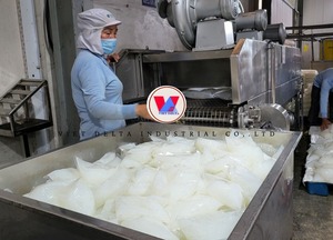 Gelée de noix de coco en gros du Delta du Vietnam |   Direct d'usine - Product Image 5