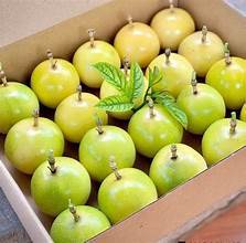 เสาวรสแช่แข็งแช่แข็งติดฉลากสะอาดจากส่วนผสมของพืช - Product Image 4