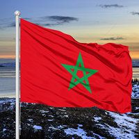 Drapeaux marocains personnalisés, bannière extérieure 3x5FT, drapeaux de pays en polyester imprimés numériquement, mât de drapeau en aluminium, bannière publicitaire électorale