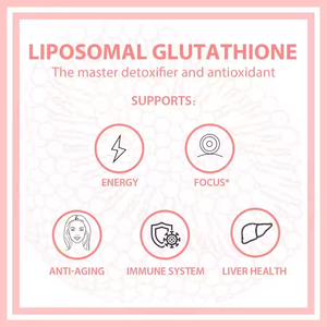 Toplu indirim balık yağı takviyeleri omega Epa Dha 3 6 9 12 18 mühür yağı D3 K2 2600mg balık yağı sıvı vücut şekillendirme için düşer - Product Image 5