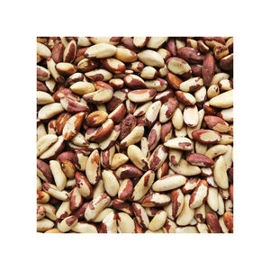 Noix brésiliennes en vrac en gros pas cher prix qualité supérieure - Product Image 2