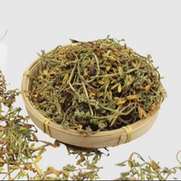FLEUR DE PAPAYE SÉCHÉE - HAUTE QUALITÉ BAS PRIX POUR LA VENTE EN GROS DU VIETNAM - MATÉRIAU NATUREL