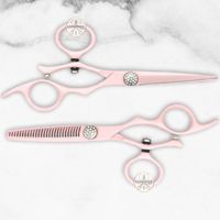 Ensemble de ciseaux professionnels pour couper et effiler les cheveux, en acier inoxydable, ciseaux de barbier et de salon de coiffure avec réglage