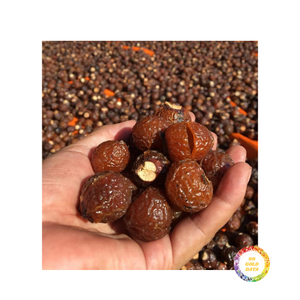 Nueces de jabón cultivadas en Vietnam de alta calidad para limpieza y lavandería Producto agrícola económico de espuma de larga duración - Product Image 2
