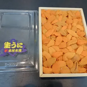 Japanese Shell Fresh Sea Urchin Marinated Seafood