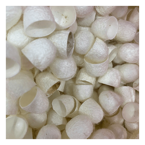 100% รังไหมธรรมชาติผ้าไหมหม่อนสำหรับดูแลผิวส่งออกจากเวียดนาม - Product Image 5