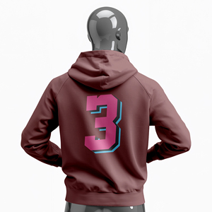 Quick Dry Polyester <b>Gym</b> <b>Hoodie</b> for Training and Workout Custom Team Uniform Polyester <b>Hoodie</b> - Product Image 2