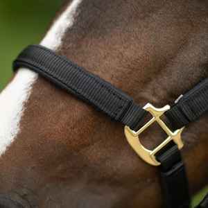 Personnalisé pleine tailles Cob confortable Durable Nylon cheval licou coloré à motifs Design anglais selle Style réglable KGN - Product Image 3