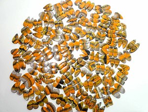 Par de cabujones de jaspe de abejorro Natural de alta calidad, piedras preciosas de cuarzo sueltas, proveedor de precios al por mayor de La India para la fabricación de joyas - Product Image 6