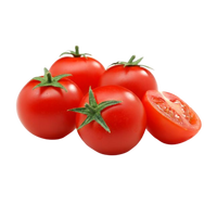 Tomates rouges douces fraîches à vendre Graines d'emballage de style rouge Tomate hybride rouge avec couleur fraîche et naturelle