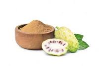 Vente en gros d'extrait de noni bio 100% en poudre 99% Morinda Citrifolia Supplément à base de plantes pour fruits et graines dans un emballage en bouteille