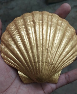 เปลือกหอยพัดลมธรรมชาติวาดด้วยมือกำหนดเองในรูปแบบและการออกแบบที่กำหนดเองเหมาะสำหรับใช้ตกแต่งบ้าน - Product Image 2