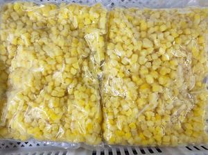 ANANAS CONGELADA PREMIUM DE VIETNAM, FRUTA TROPICAL NATURAL PARA JUGOS, POSTRES Y PROCESAMIENTO DE ALIMENTOS // Sra. Lily Ngo - Product Image 6