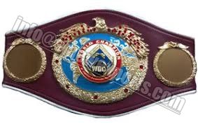 WBO เข็มขัดแชมป์โลกสำหรับศิลปะการต่อสู้ Jiu-Jitsu ใหม่ - Product Image 2