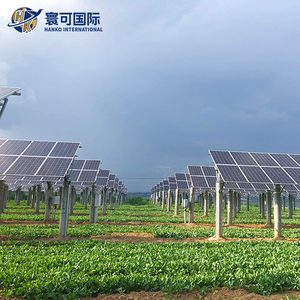 Hoogbouw Dual Income Solar Structuur voor grootschalige landbouwprojecten Agri PV aanvullend montagesysteem - Product Image 2